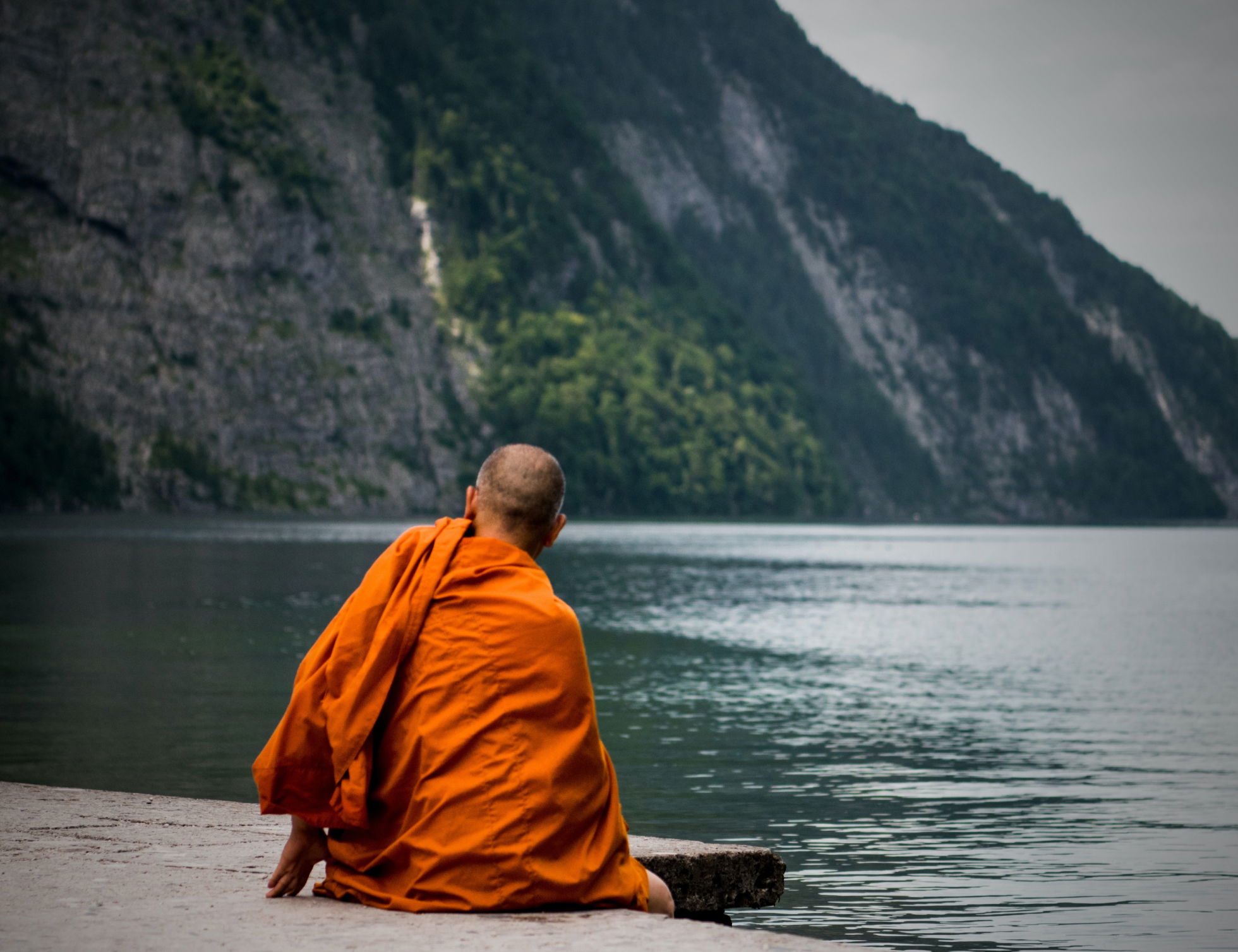 Longevity Week 2024: linking longevity and sustainability